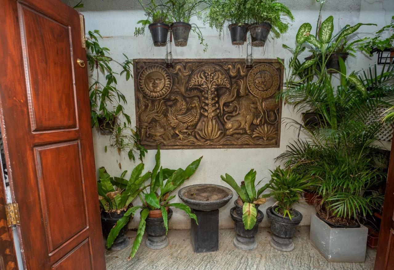 كالي Fort Thari Inn المظهر الخارجي الصورة